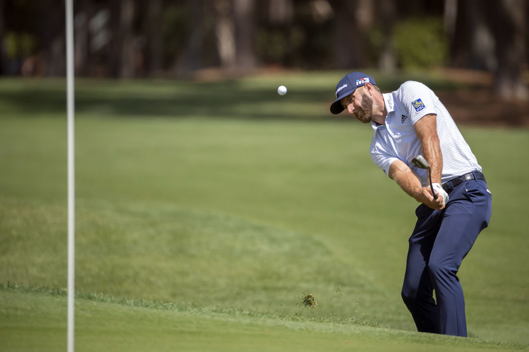 RBC Heritage Golf